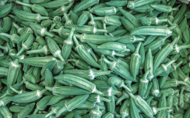 Okra Harvest